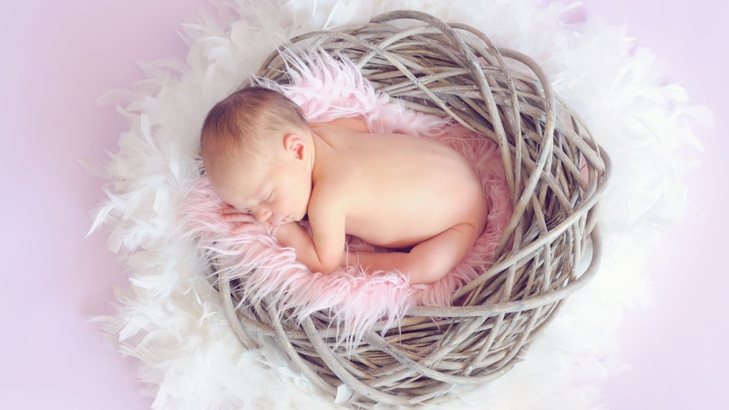 Paris Hilton Celebrates New Daughter's Arrival on Thanksgiving