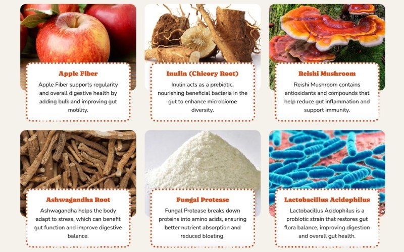 Core Ingredients - SerenaFlow 