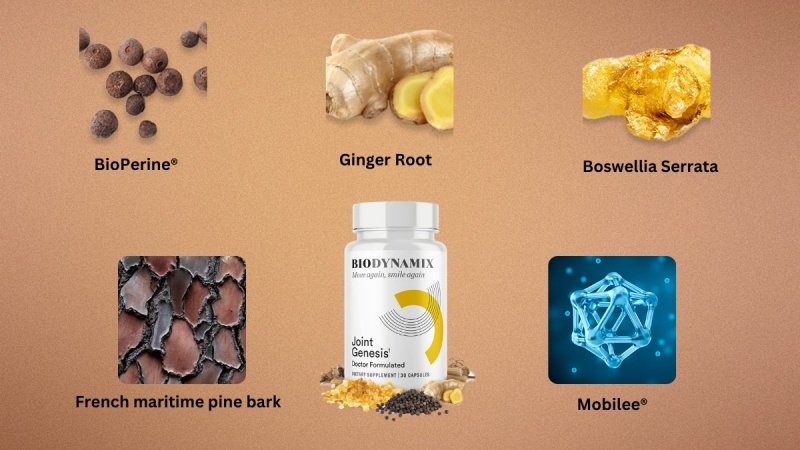 What Are The Ingredients Used In Joint Genesis?