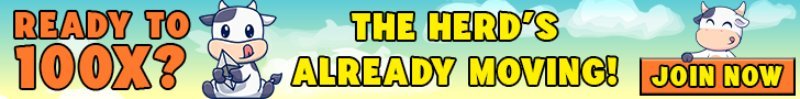 BTFD Coin Presale