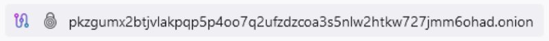 How to Use the Mixer on TOR - Stay Sharp - Confirm the .onion URL