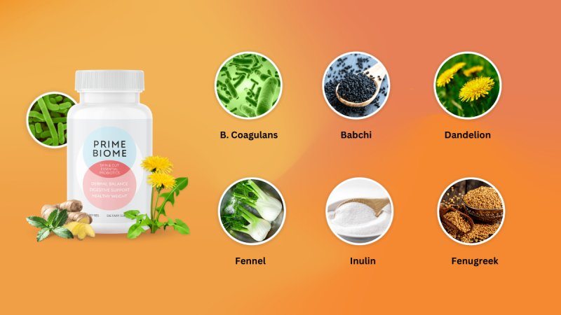 What Are The Ingredients In Prime Biome?