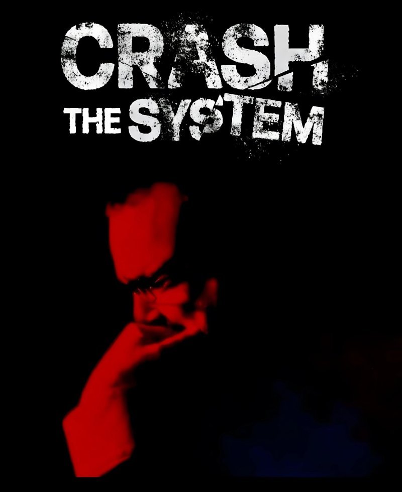 The Vision Behind Crash the System
